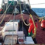 Alivio en la pesca: hubo acuerdo y se destrabó el conflicto en la flota congeladora