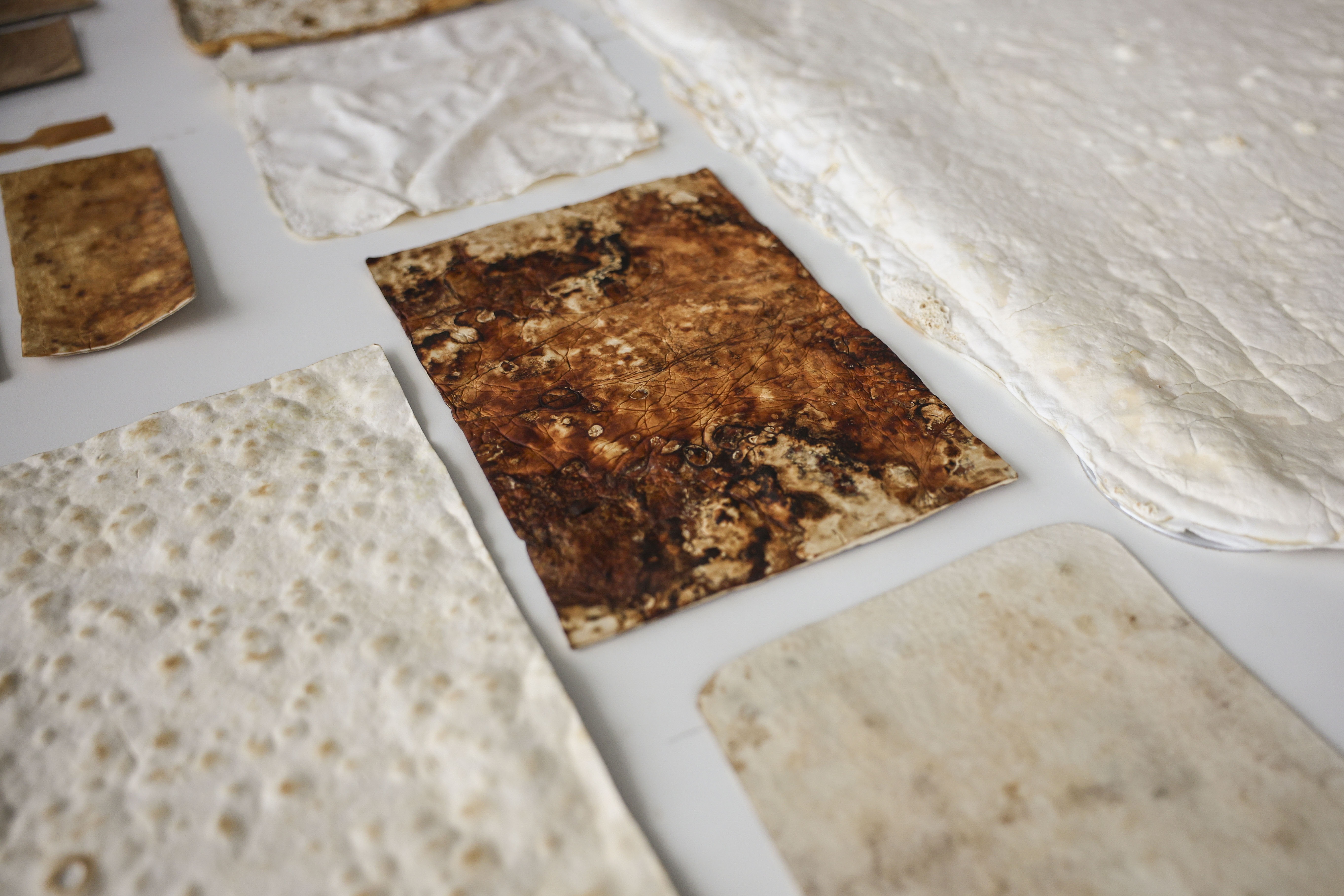 Muestras de tejidos y materiales a base de champiñones. Foto: EFE | Pablo Garrigós.