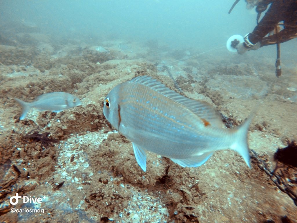 DCIM100GOPROGOPR7516.