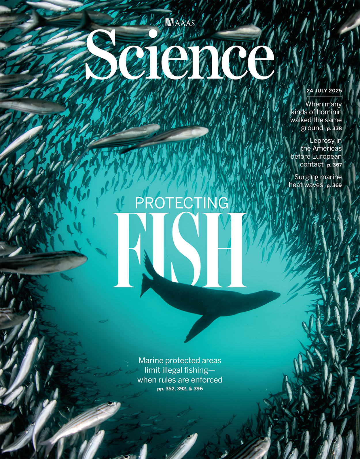 science.2025.389.issue-6758.largecover
