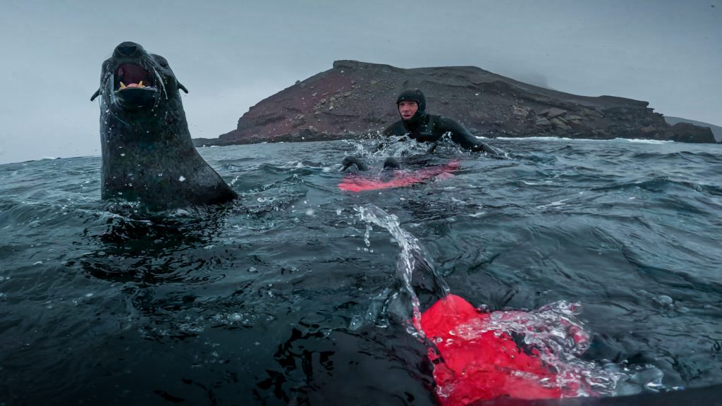 17-GDM_ANT23_PRADA-137 (1)