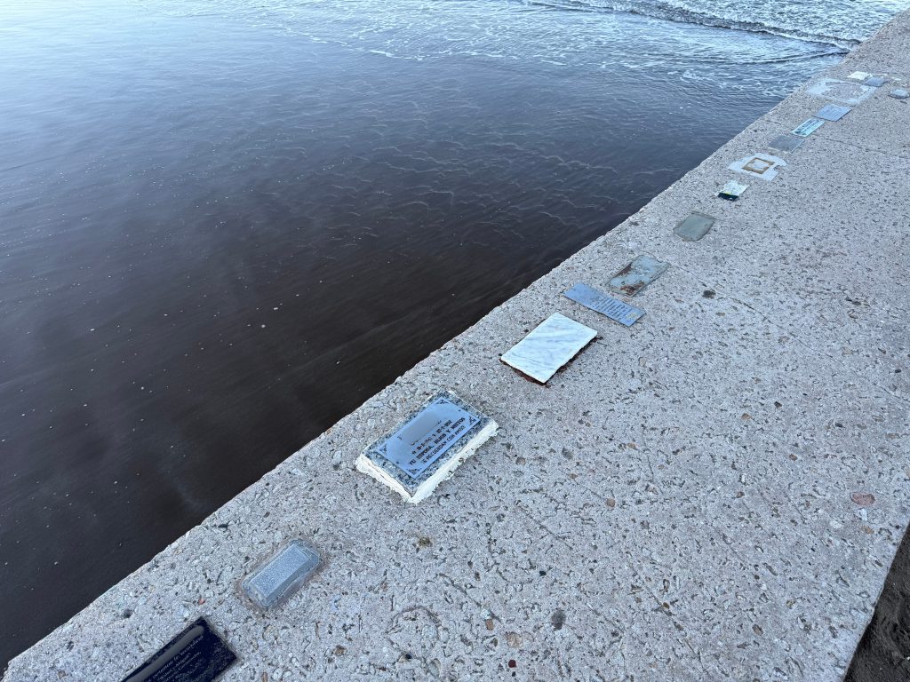 7338b311-4ae2-4461-8cee-1f68eed53e4a