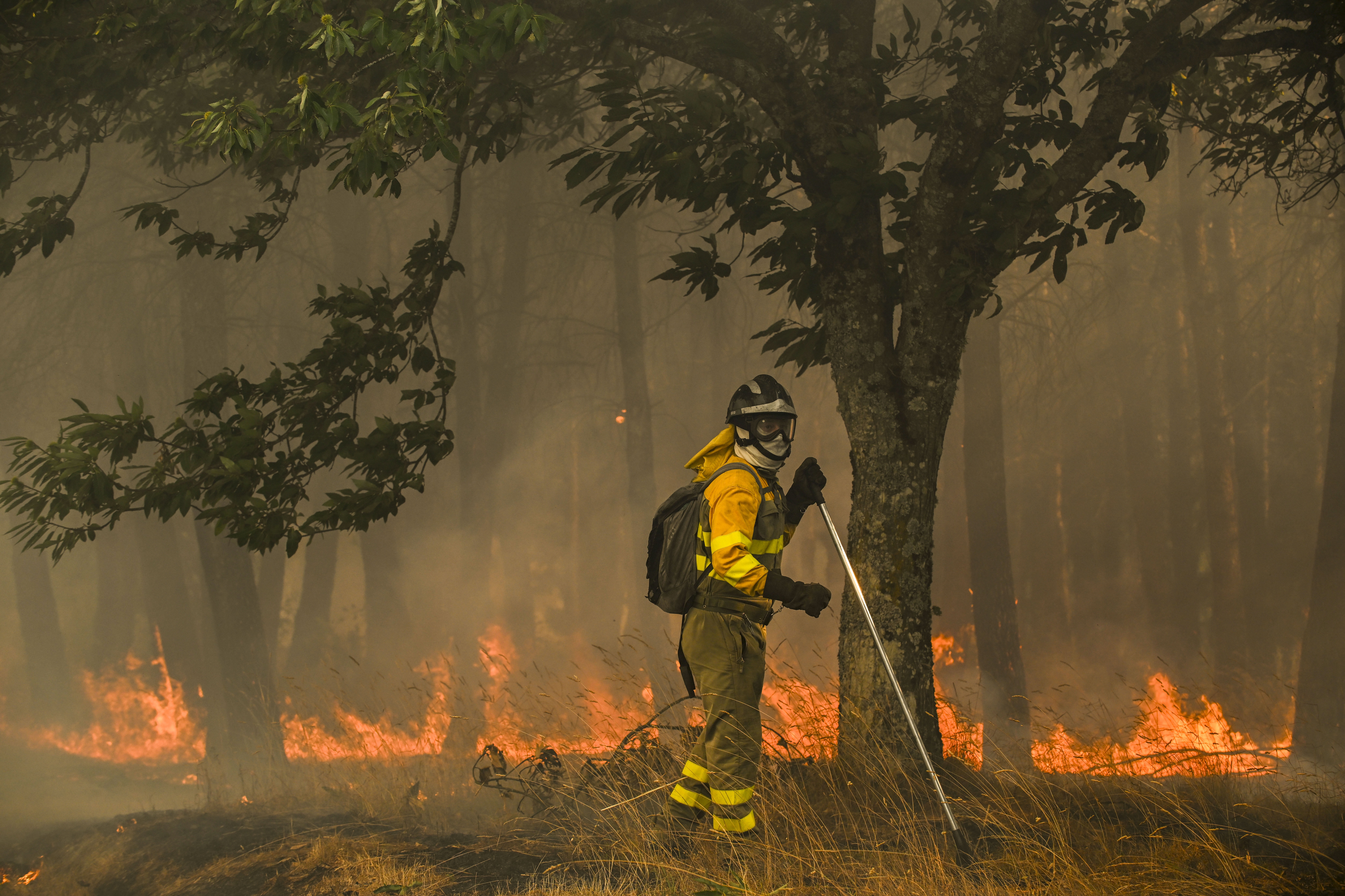 INCENDIO EN A GUDIÑA