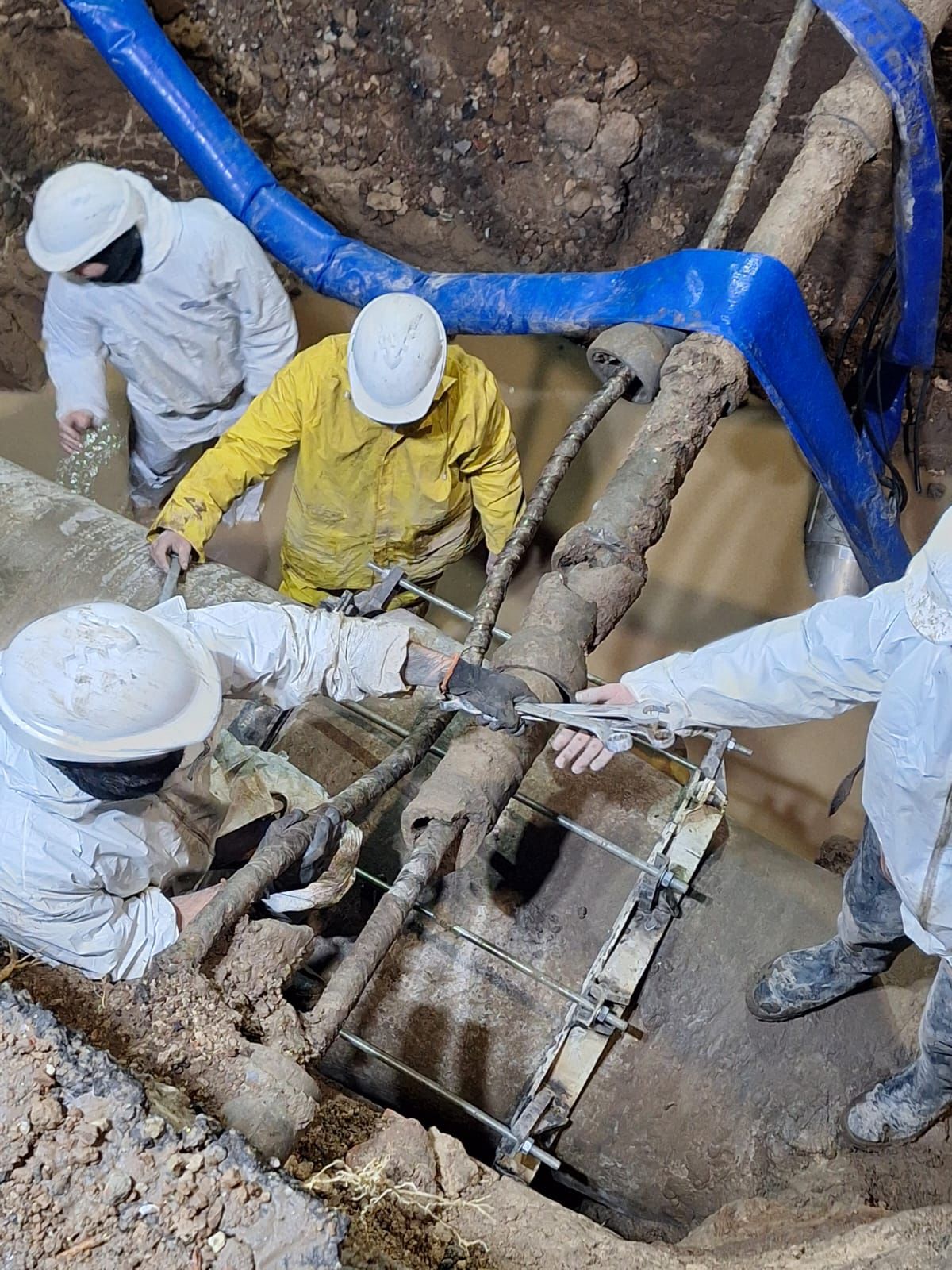 WhatsApp Image 2025-08-07 at 09.20.30