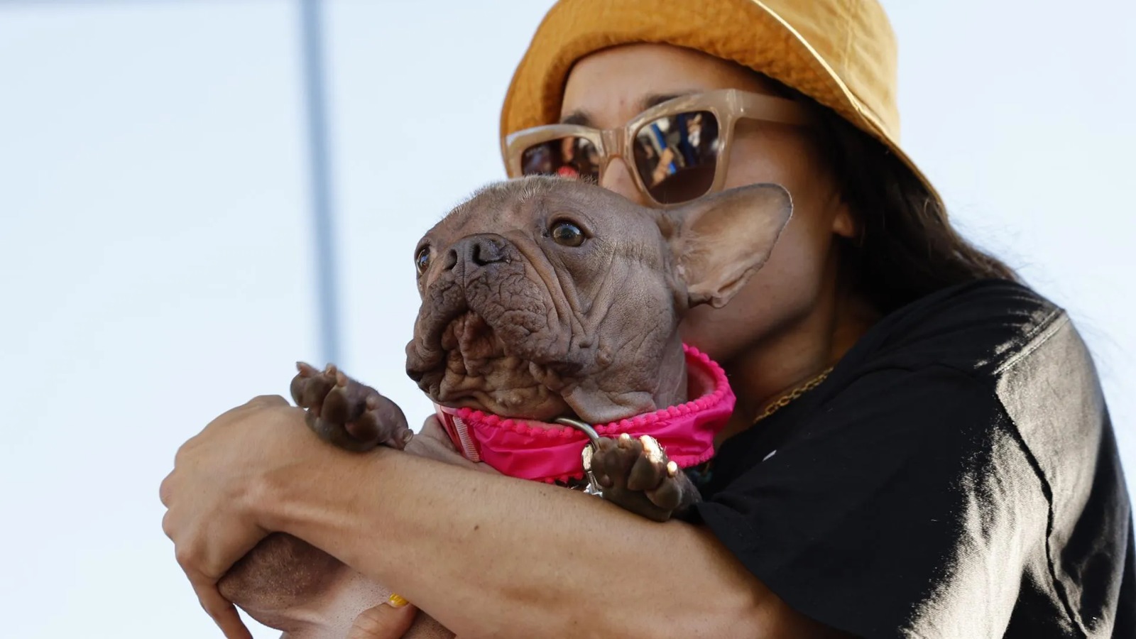 WhatsApp Image 2025-08-12 at 13.56.25