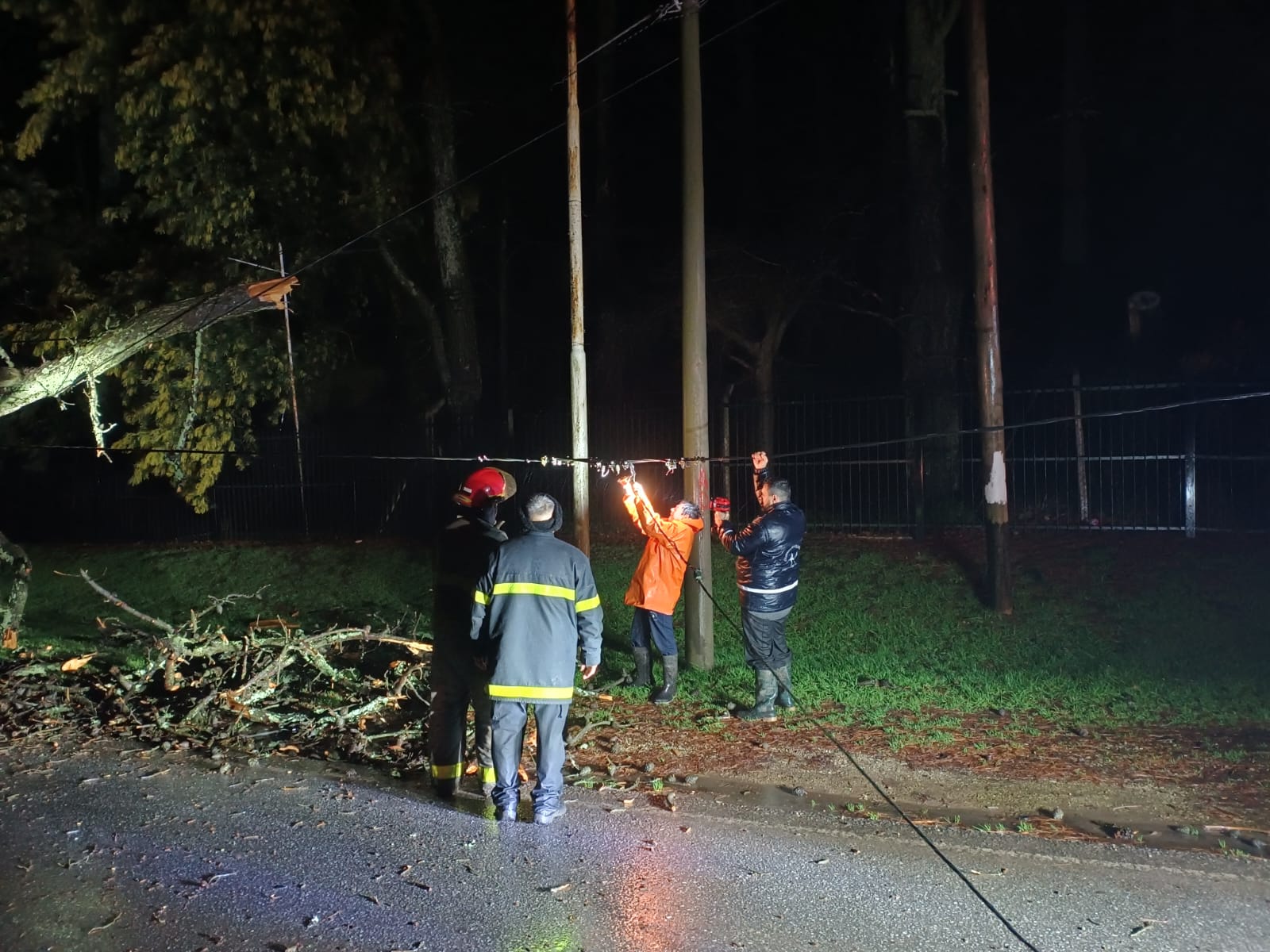 WhatsApp Image 2025-08-20 at 08.26.40