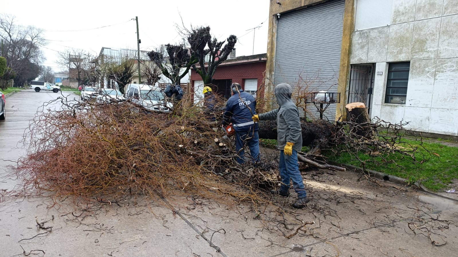 WhatsApp Image 2025-08-20 at 10.27.08