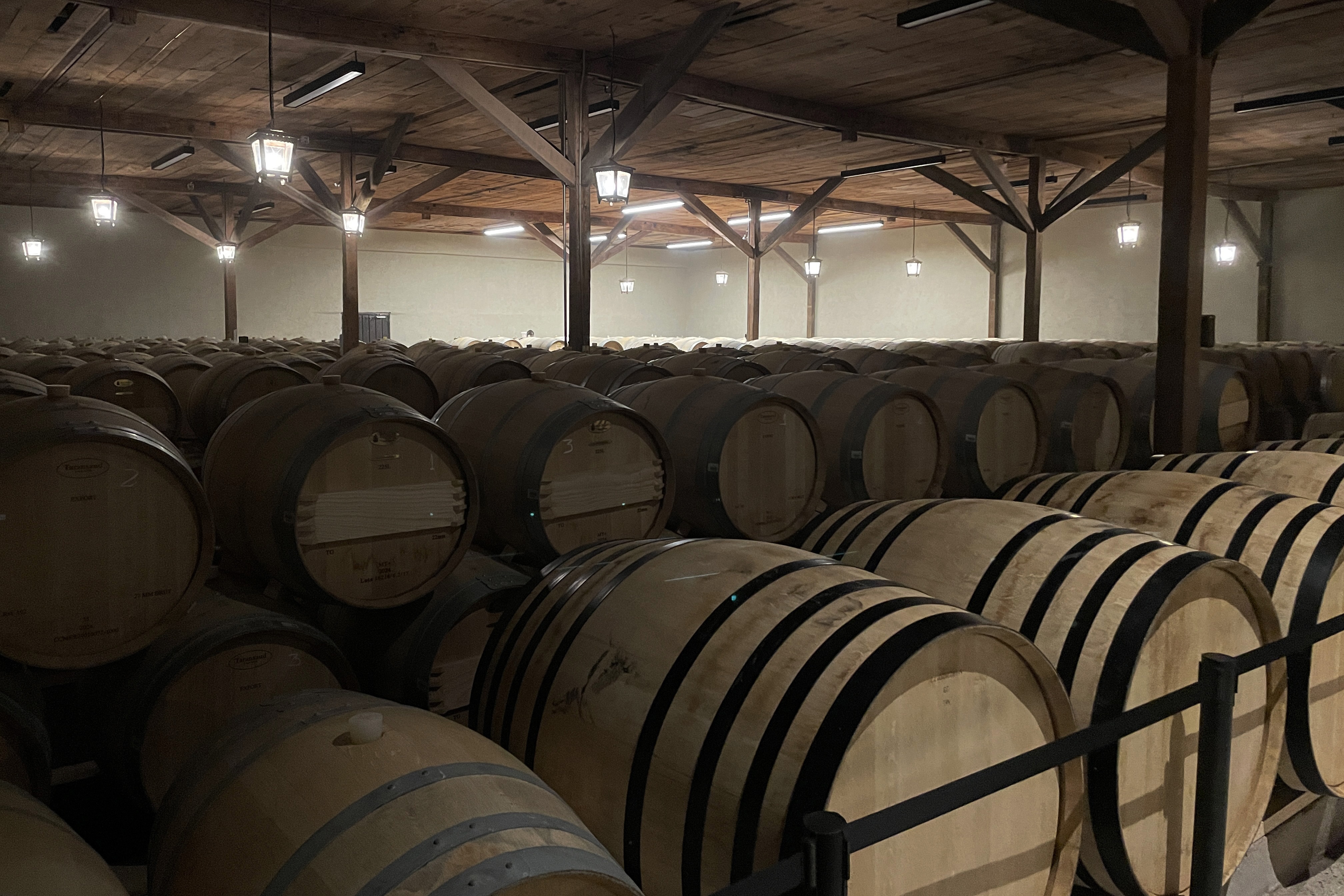 Entre historia, vino y leyendas: un viaje sensorial que revoluciona el enoturismo chileno