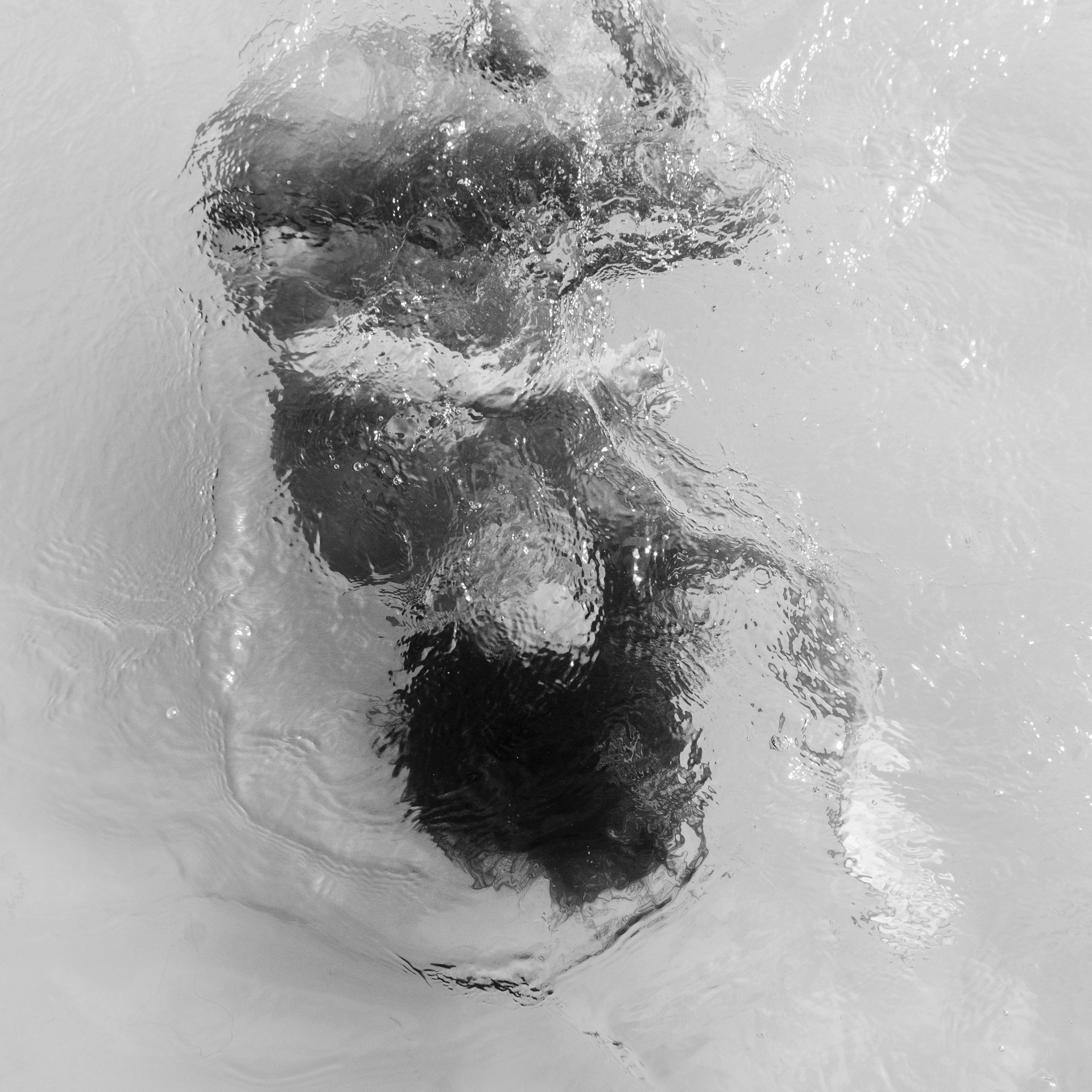 Imagen de Andrea González Soto.