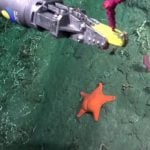 La estrella midió más que cualquier político, la influencia de la IA en la política y cuando los drones son una buena noticia