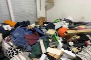 Nuevo ataque de una “viuda negra” en Mar del Plata pone en alerta a la Justicia y a la policía - Image 3