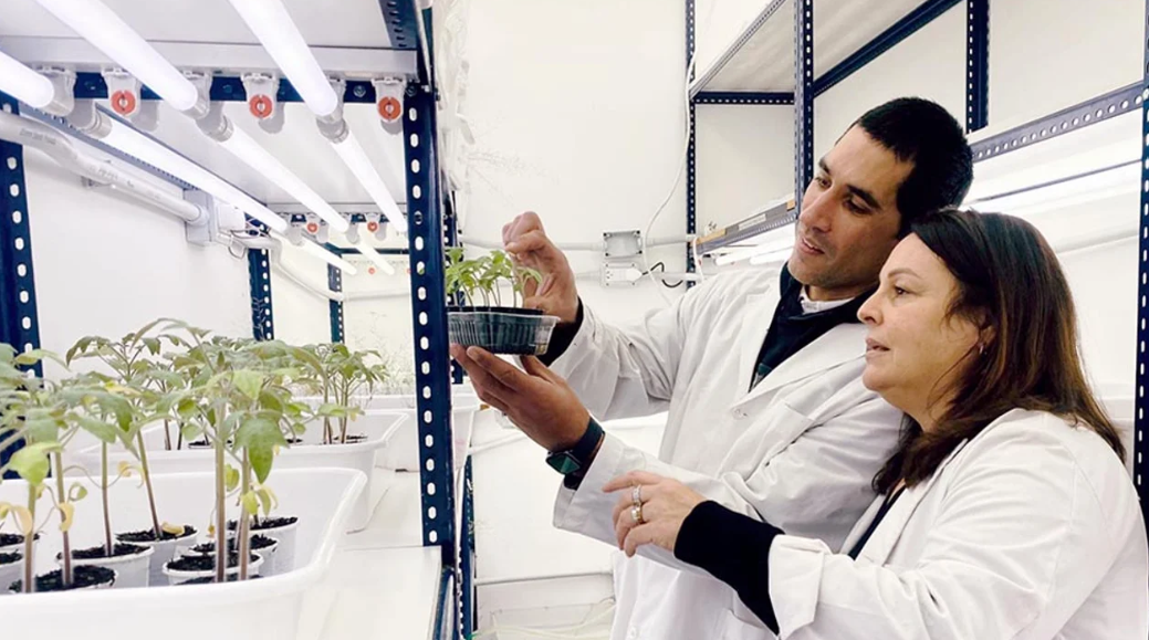 Fotografía: Agencia Noticias Argentinas / CONICET