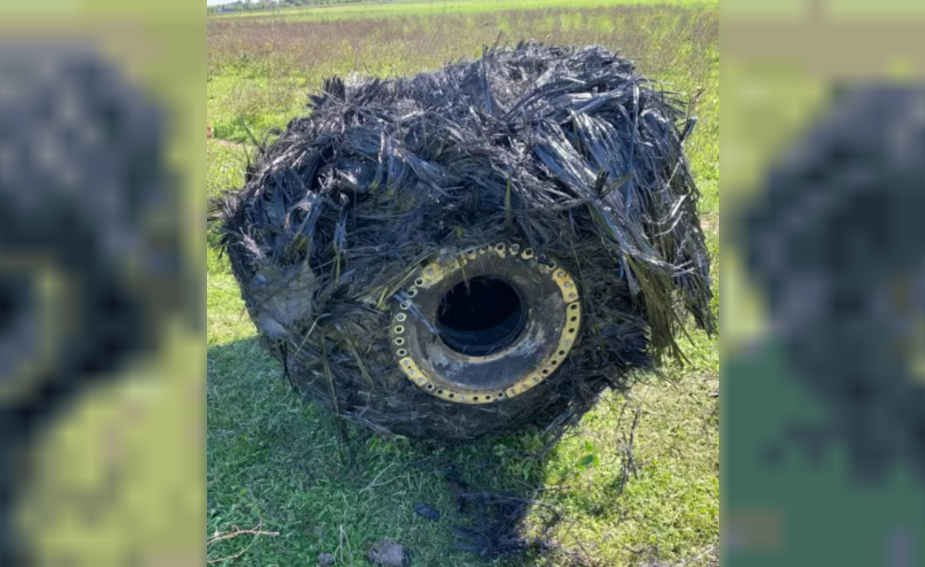 Captura de pantalla 2025-09-26 100919