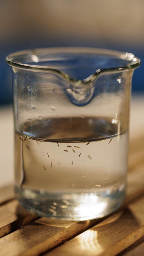 WhatsApp Image 2025-08-27 at 17.54.50