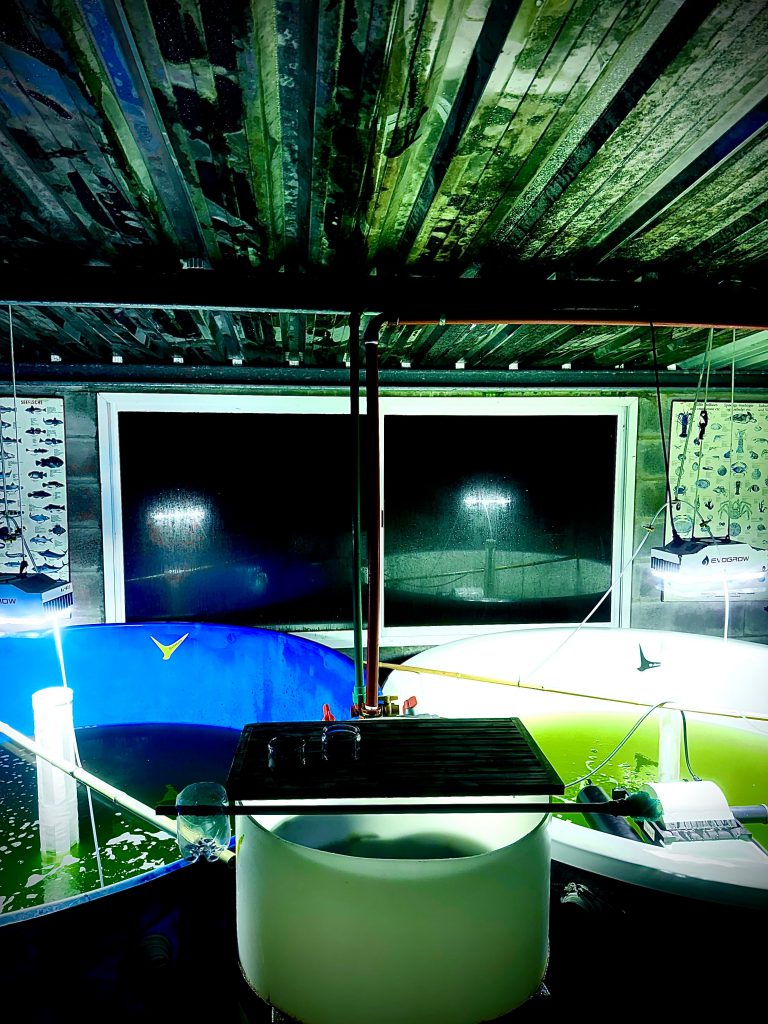 WhatsApp Image 2025-08-27 at 18.47.11