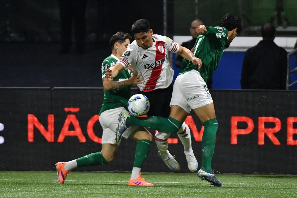 riverpalmeiras