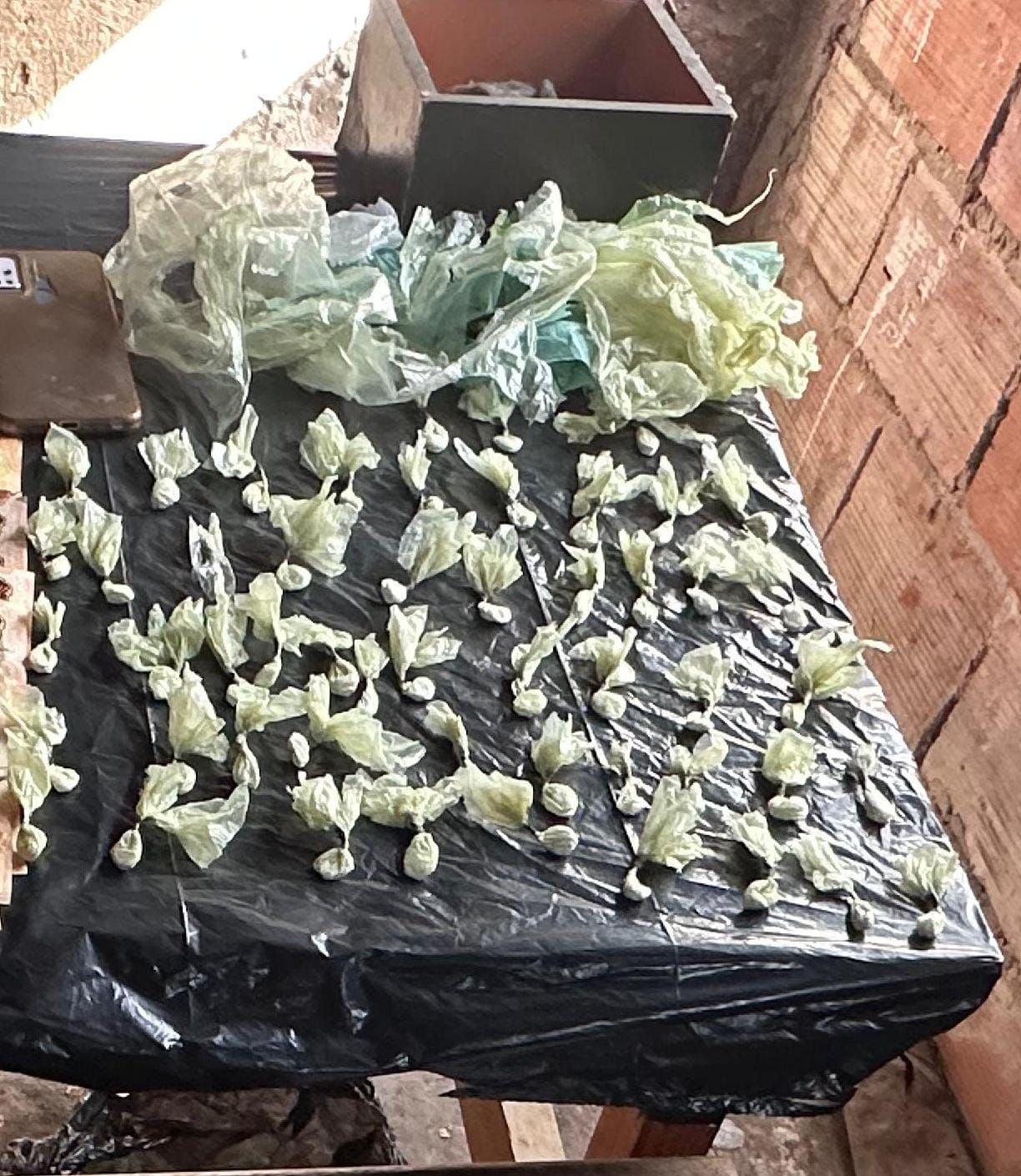 WhatsApp Image 2025-10-16 at 10.19.30 AM (1)