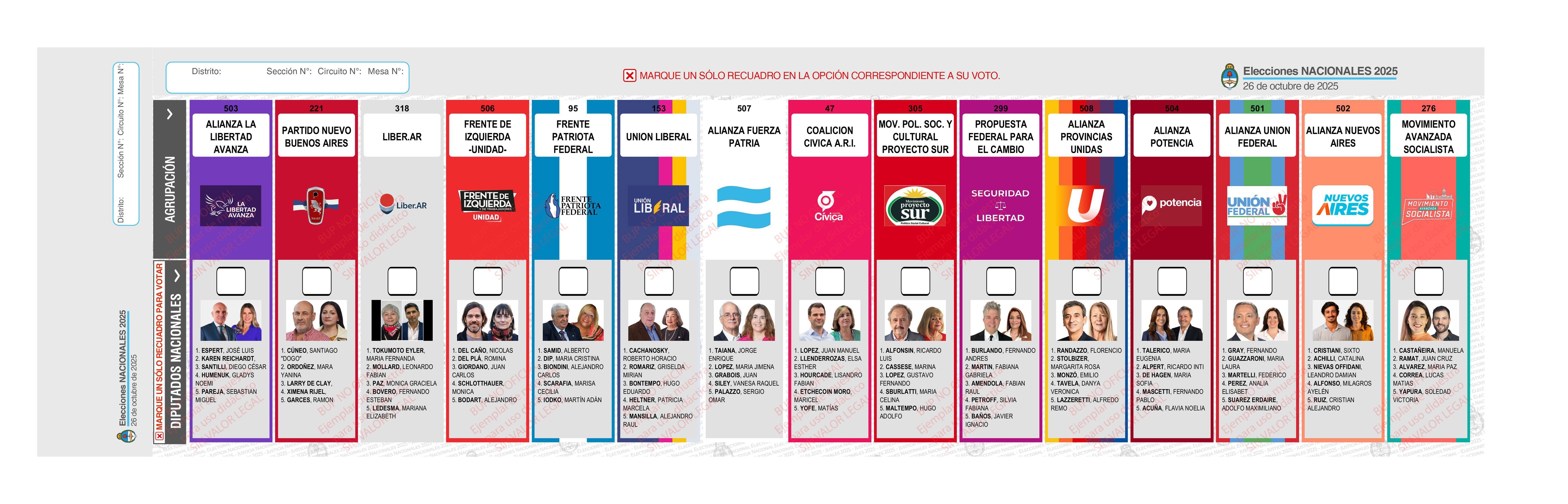 boleta_electoral_2025
