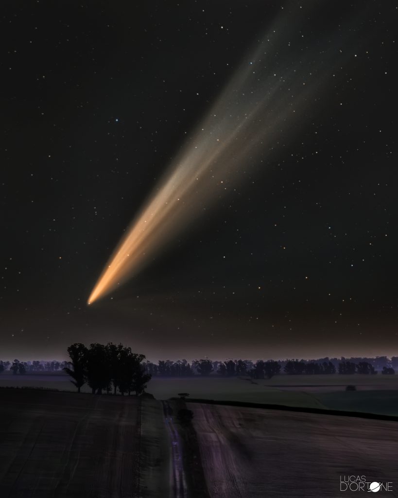 cometa atlas