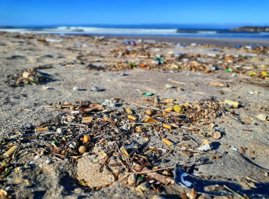 Cerca del 15% de la basura en las playas de Mar del Plata son colillas de cigarrillo.