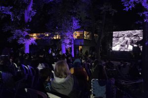 WhatsApp Image 2025-11-01 at 09.35.07 (3)