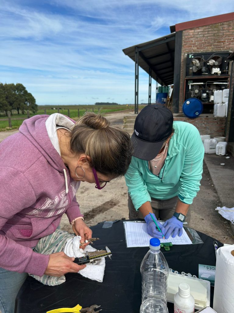 WhatsApp Image 2025-11-03 at 17.48.48 (1)