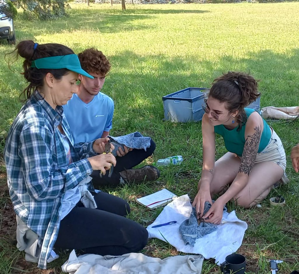 WhatsApp Image 2025-11-03 at 17.48.48