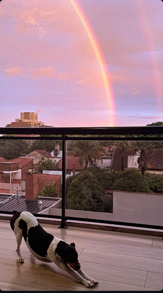 WhatsApp Image 2025-11-11 at 19.51.21