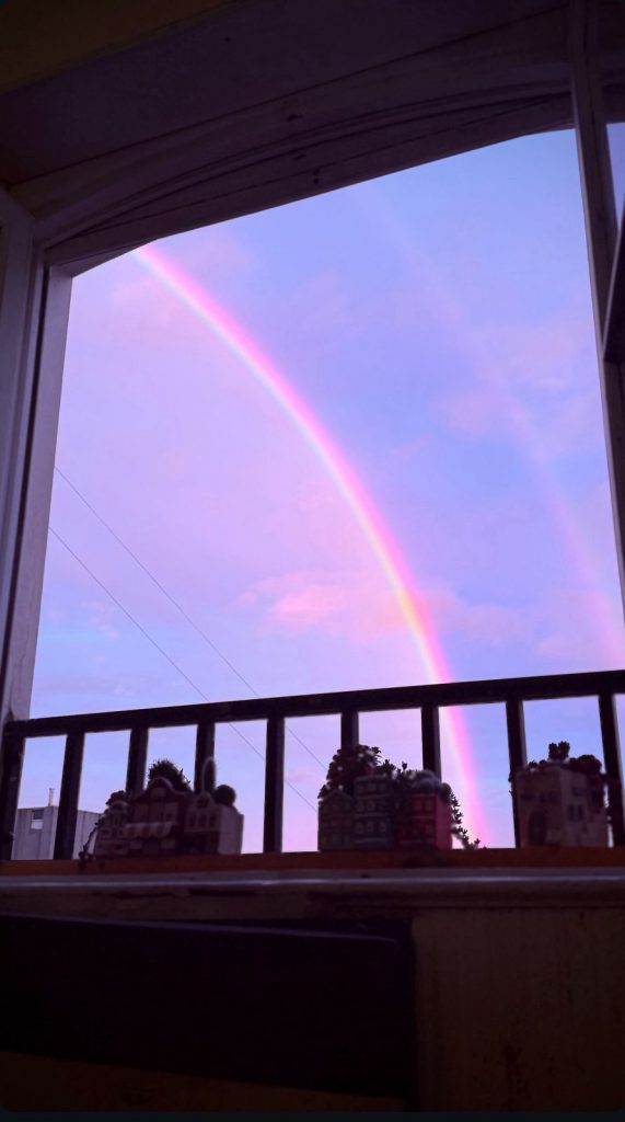 WhatsApp Image 2025-11-11 at 19.51.44