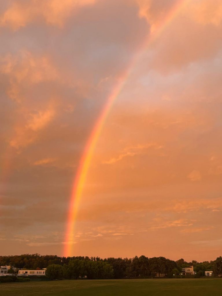 WhatsApp Image 2025-11-11 at 20.21.10