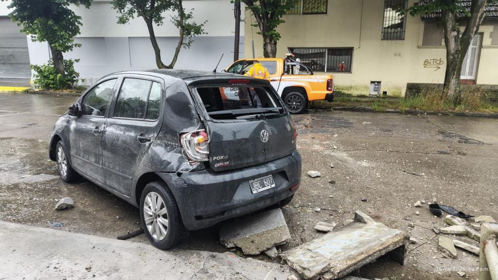 Por los fuertes vientos, hubo árboles y postes caídos en varias zonas de Mar del Plata