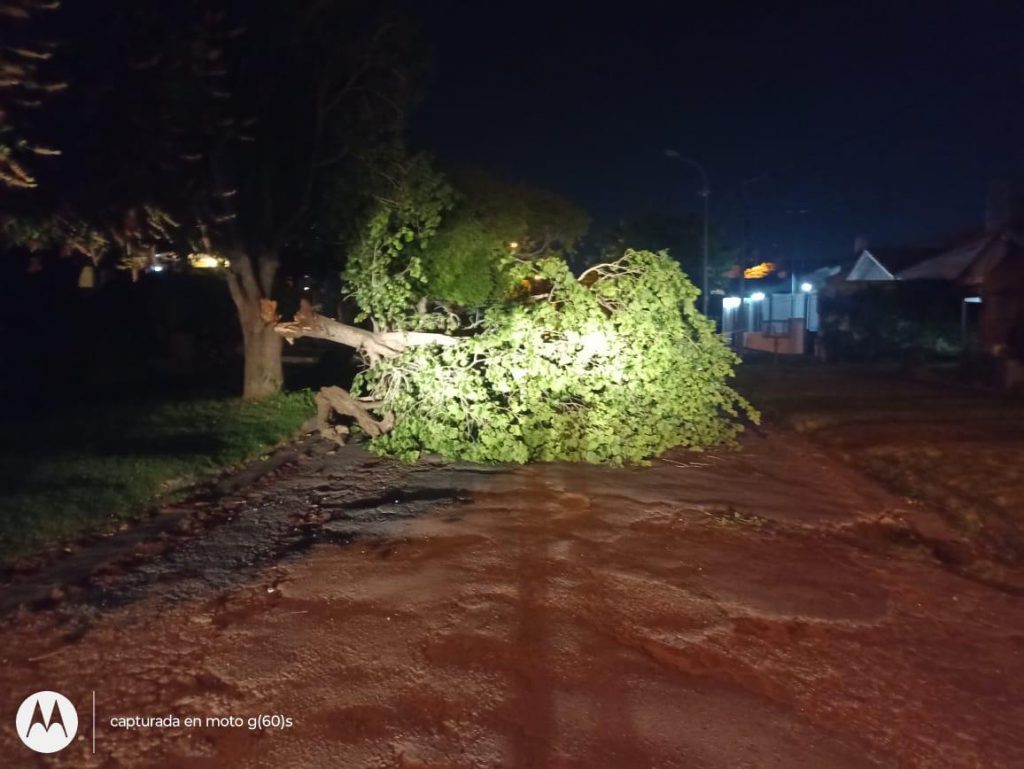 WhatsApp Image 2025-11-18 at 17.50.46