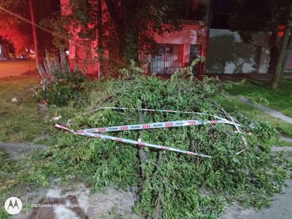 WhatsApp Image 2025-11-18 at 17.50.51 (1)