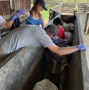 WhatsApp Image 2025-11-19 at 18.24.10