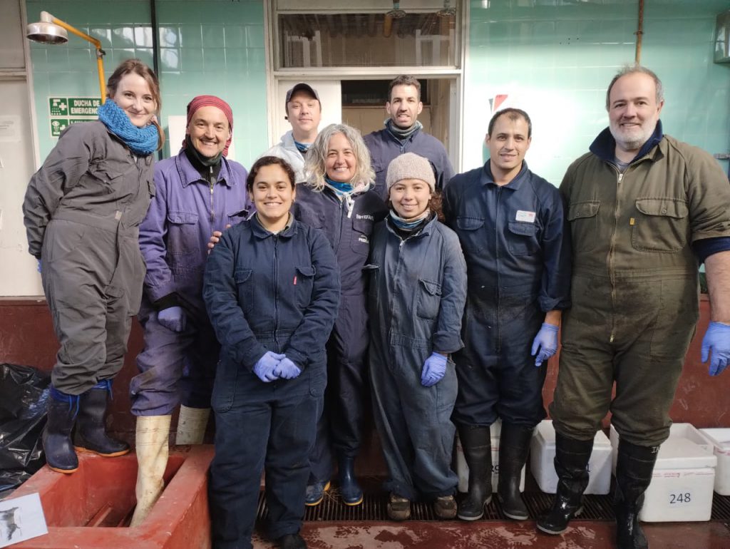 WhatsApp Image 2025-11-19 at 18.25.52