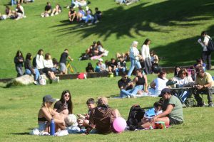 Las mejores fotos de un domingo primaveral en Mar del Plata