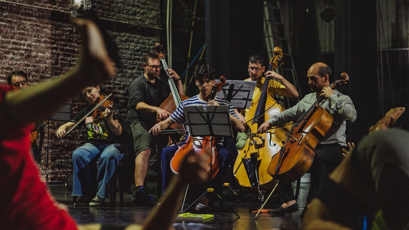 La Camerata Mar del Plata.