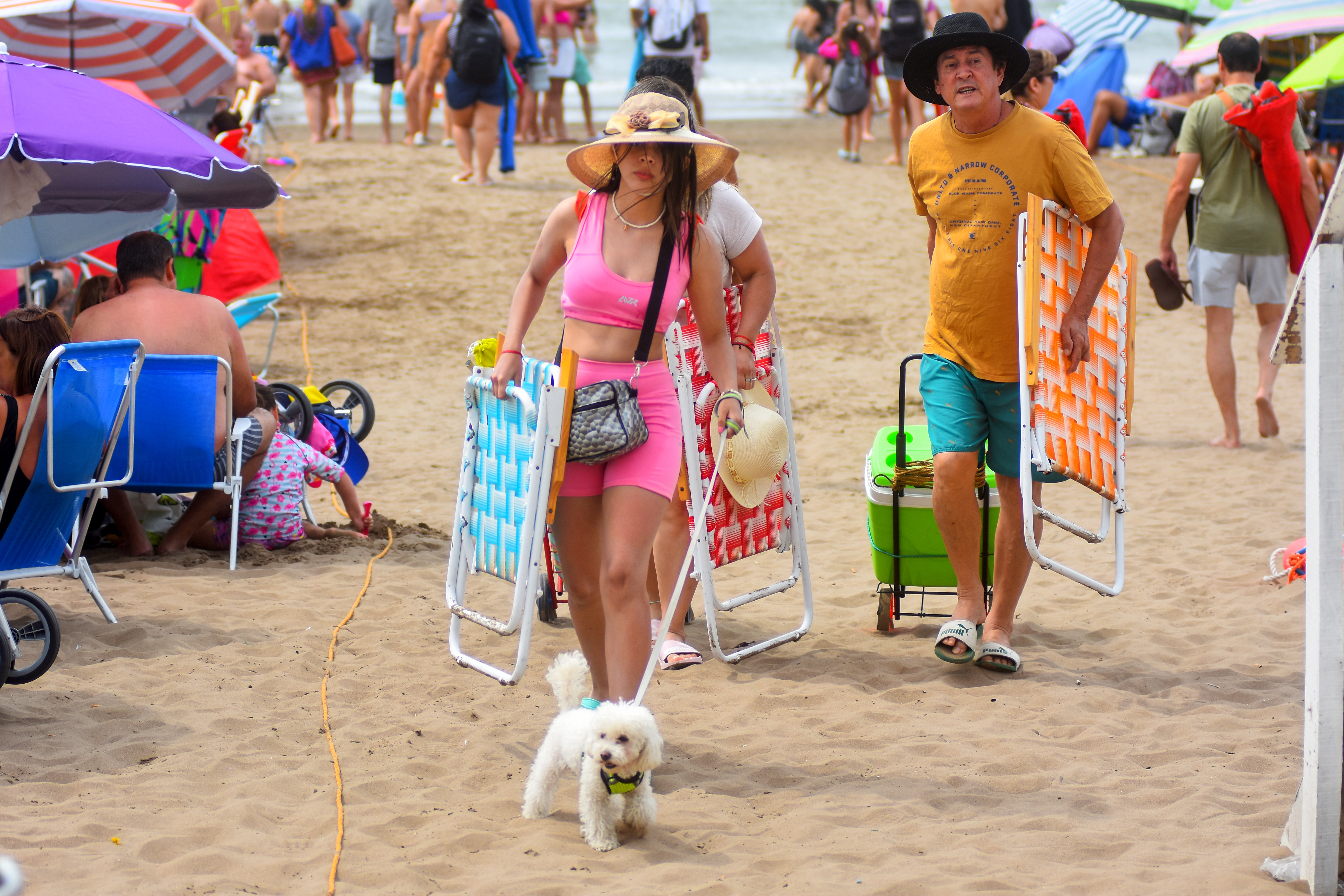 Mar del Plata "pet friendly"