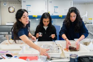 Renata Pertossi (Postdoctoral Researcher, CONICET), Noelia Sánchez (Postdoctoral Researcher, Argentinian Museum of Natural Sciences), and Jessica Risaro (PhD student, Universidad de Buenos Aires) work on specimens retrieved by ROV SuBastian in the Main Lab on board research vessel Falkor (too). The science team documented rich biodiversity, including deep-sea coral reef environments filled with sea anemones, sea cucumbers, sea urchins, snails, and others. Credit: Misha Vallejo Prut / Schmidt Ocean Institute All visual assets (Images, videos, etc) can only be used as stated by creative commons Attribution-NonCommercial-ShareAlike  CC BY-NC-SA  Attribution — You must give appropriate credit, provide a link to the license, and indicate if changes were made. You may do so in any reasonable manner, but not in any way that suggests the licensor endorses you or your use. NonCommercial — You may not use the material for commercial purposes. ShareAlike — If you remix, transform, or build upon the material, you must distribute your contributions under the same license as the original.  https://creativecommons.org/licenses/by-nc-sa/4.0/