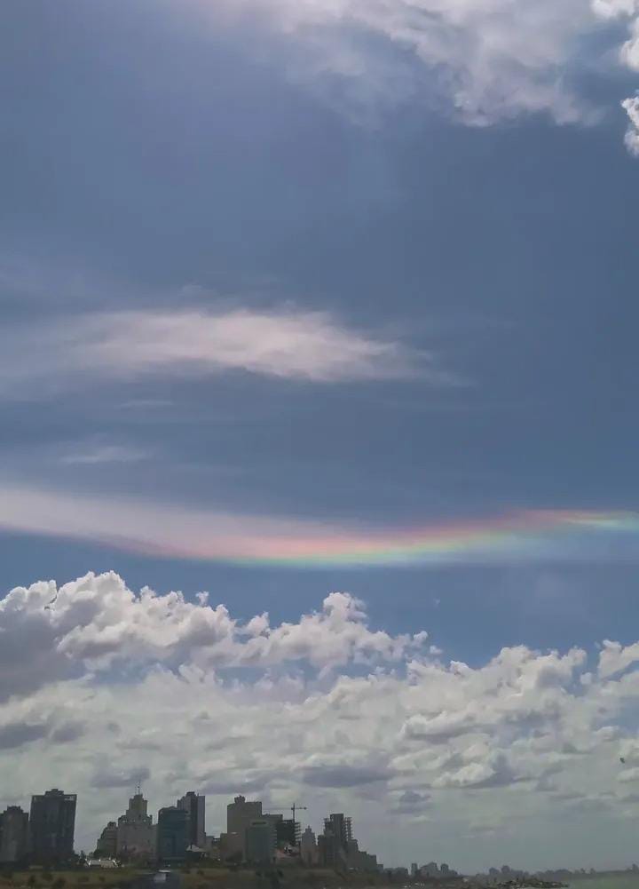 WhatsApp Image 2026-01-25 at 16.16.29