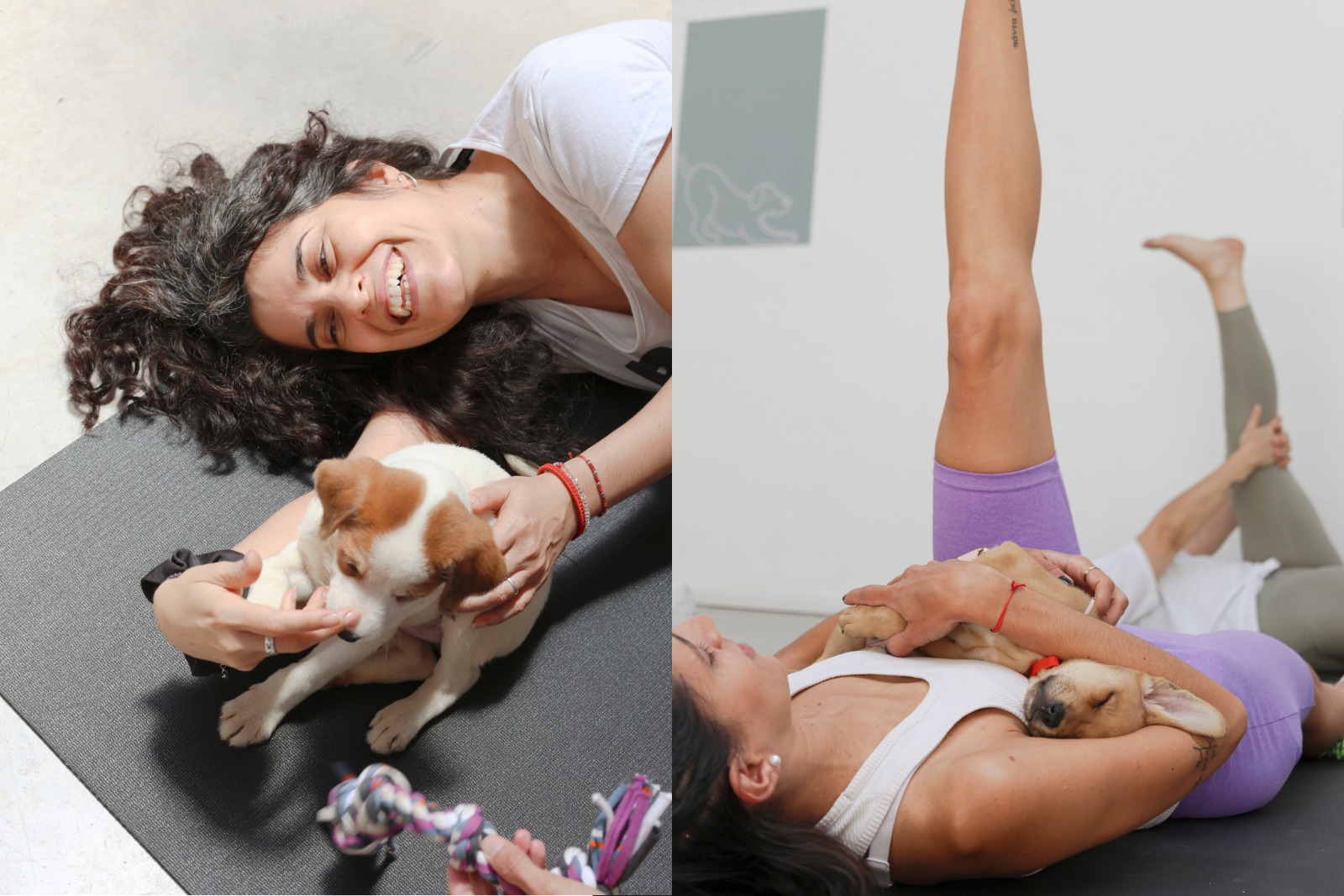 WhatsApp Image 2026-01-31 at 12.44.38