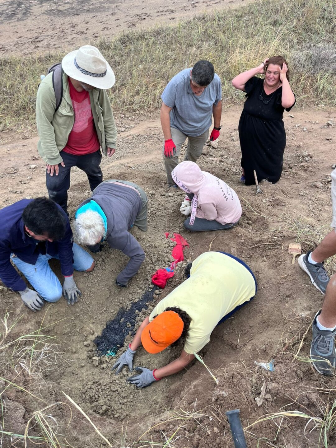 colmillo-Notio-Mastodon-2