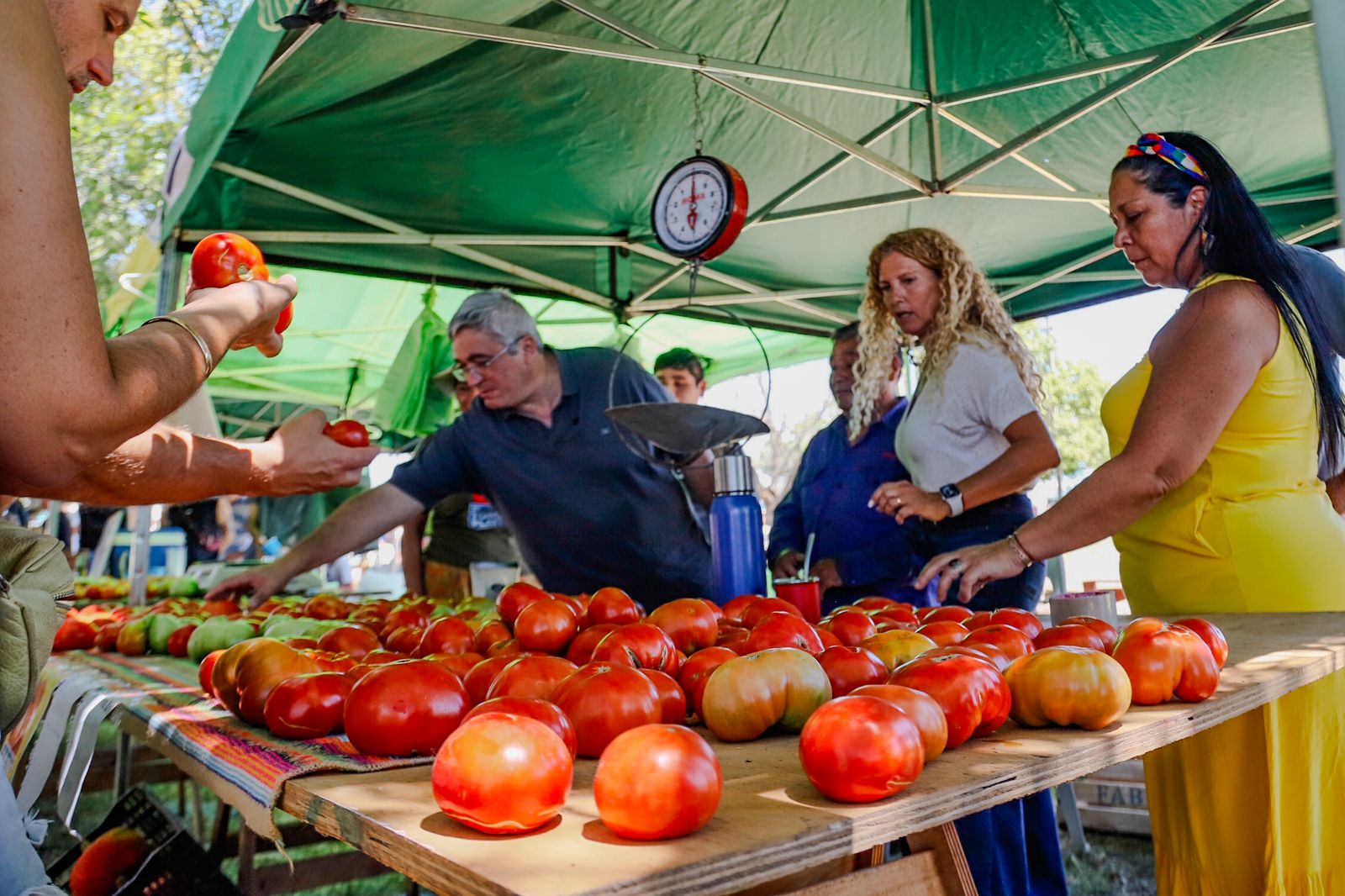 Fiesta Tomate Platense (15)