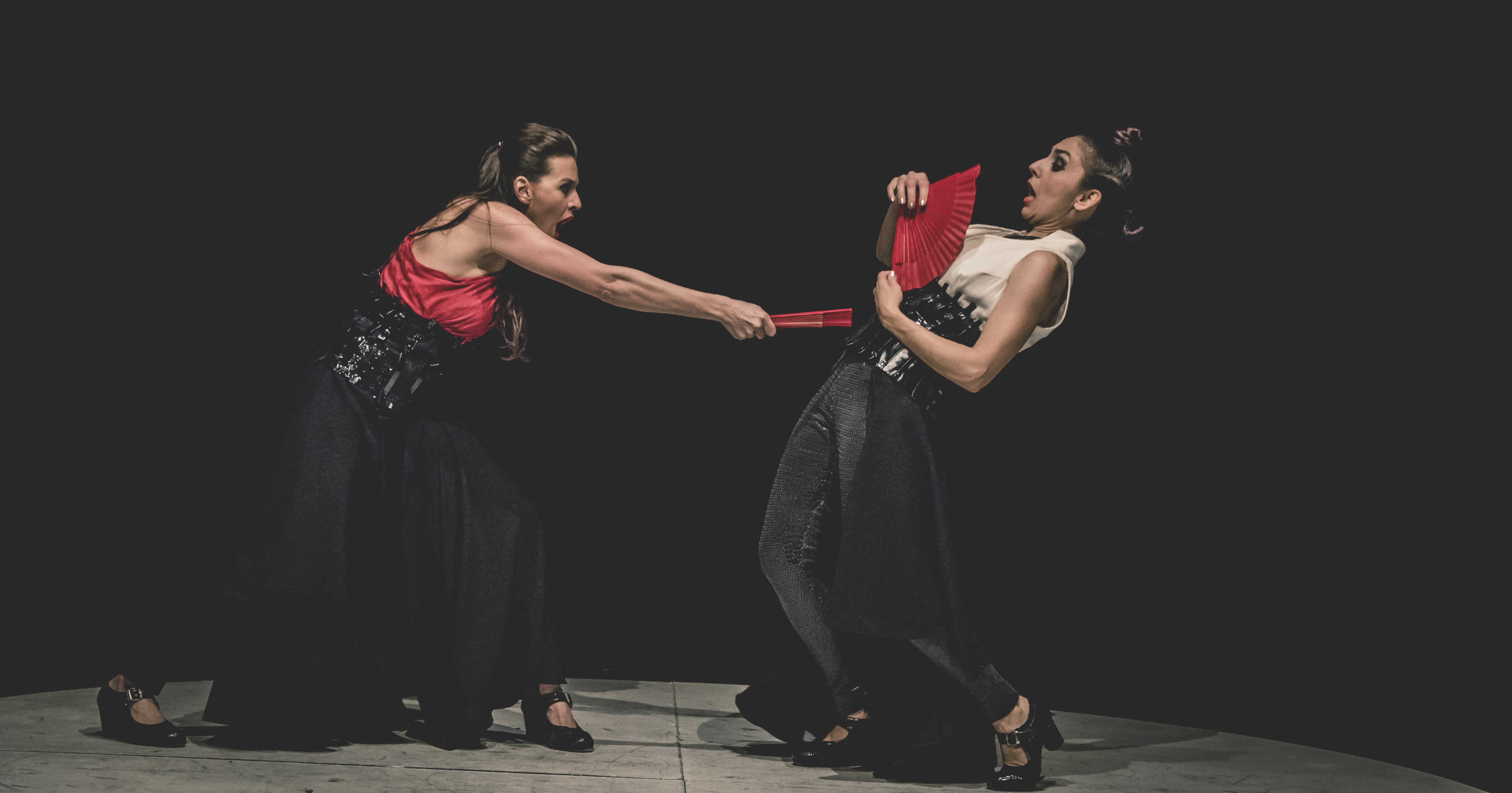 Salir del Ruedo 2025 (2)