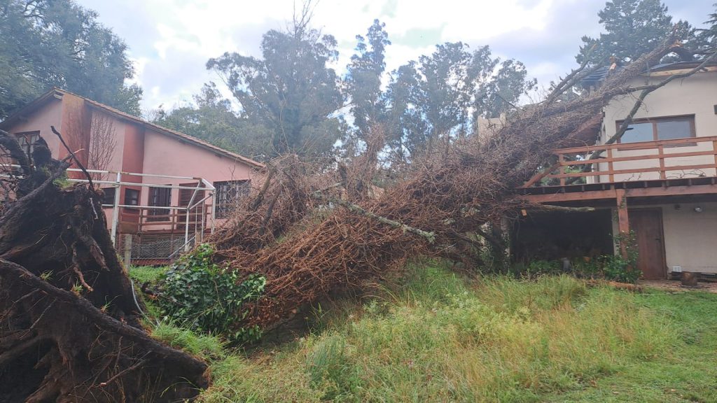 WhatsApp Image 2026-02-02 at 20.35.10