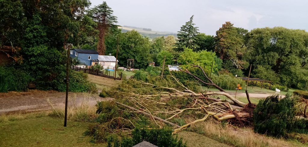 WhatsApp Image 2026-02-02 at 20.35.11