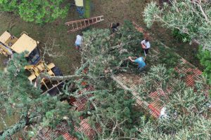 WhatsApp Image 2026-02-03 at 09.17.16