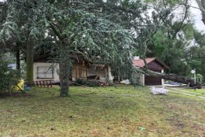 WhatsApp Image 2026-02-03 at 09.17.17 (1)