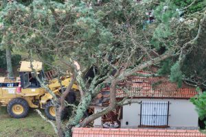 WhatsApp Image 2026-02-03 at 09.17.18 (1)