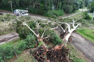 WhatsApp Image 2026-02-03 at 09.17.18 (2)